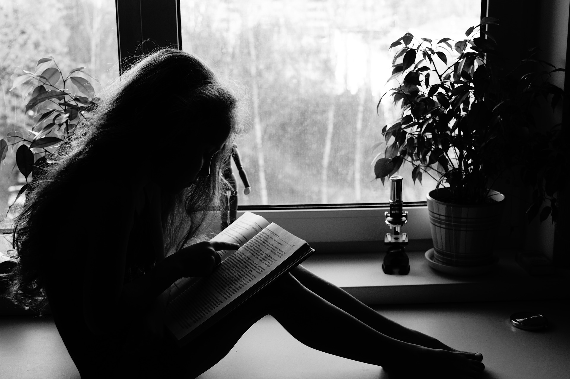 reading-834944_1920