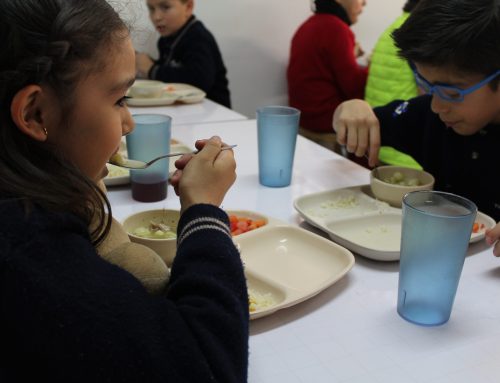Nutrición y alimentación balanceada en la etapa escolar.